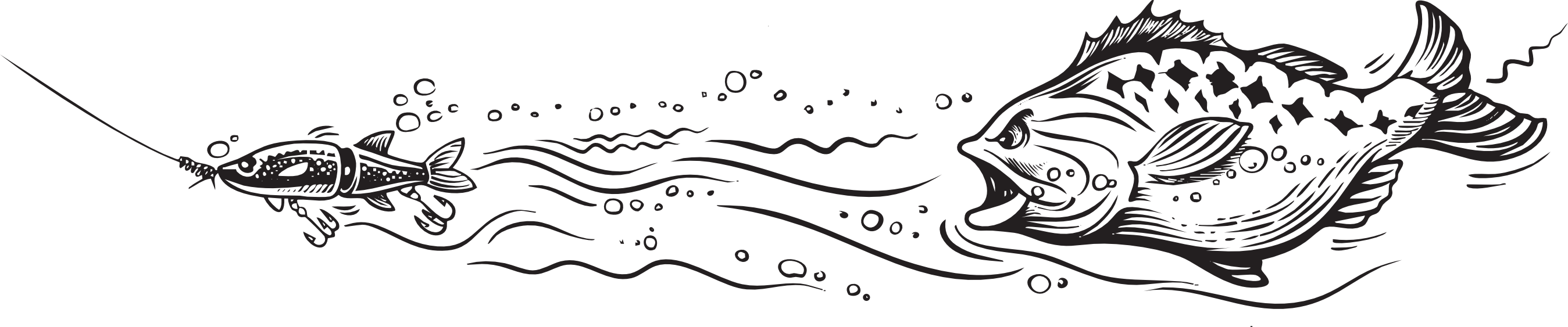 Bass Fish Illustration